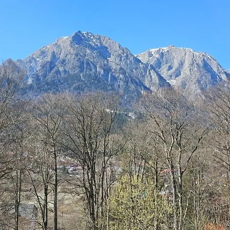 Pensiunea Clasic Buşteni Extérieur photo