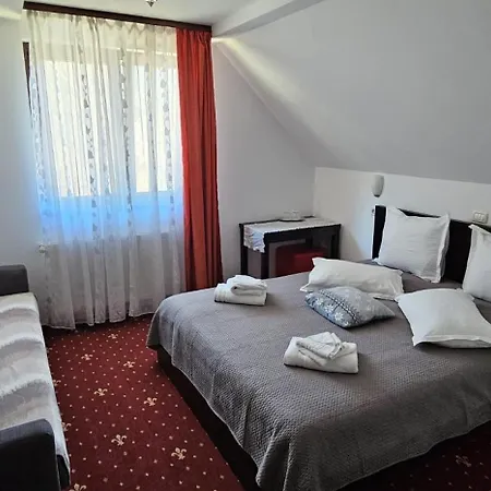 Pensiunea Clasic Buşteni Extérieur photo