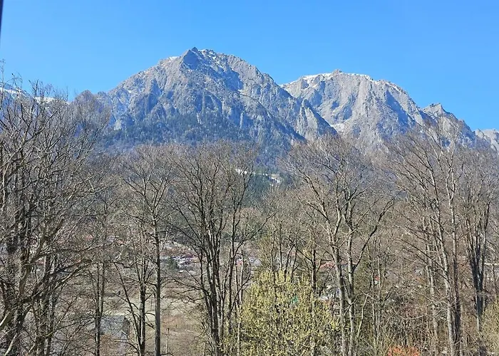 Pensiunea Clasic