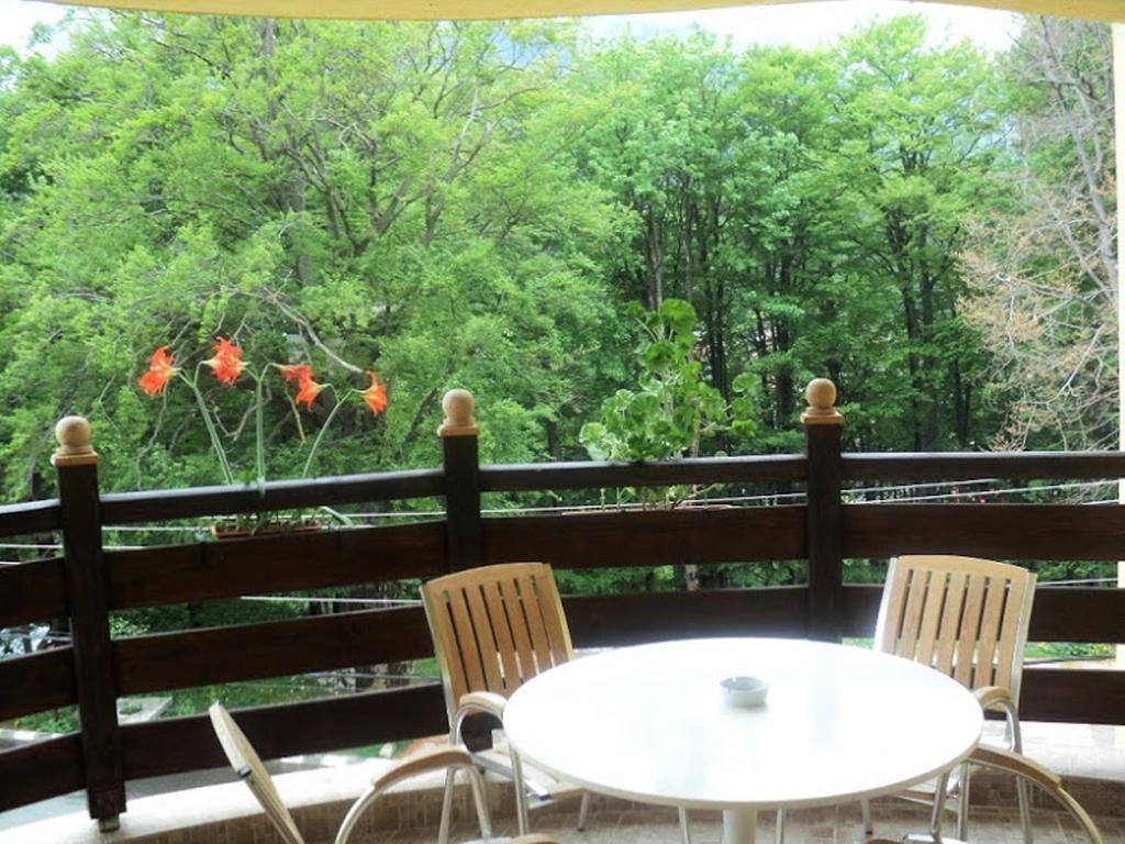 Pensiunea Clasic 3* Buşteni